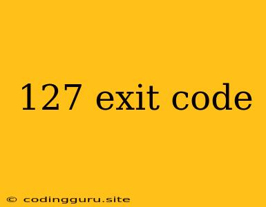 127 Exit Code