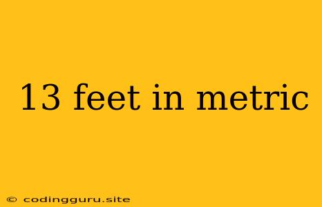 13 Feet In Metric