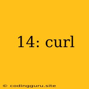 14: Curl