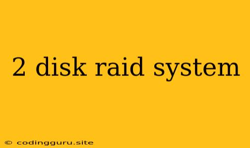 2 Disk Raid System