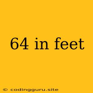 64 In Feet