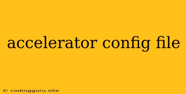 Accelerator Config File