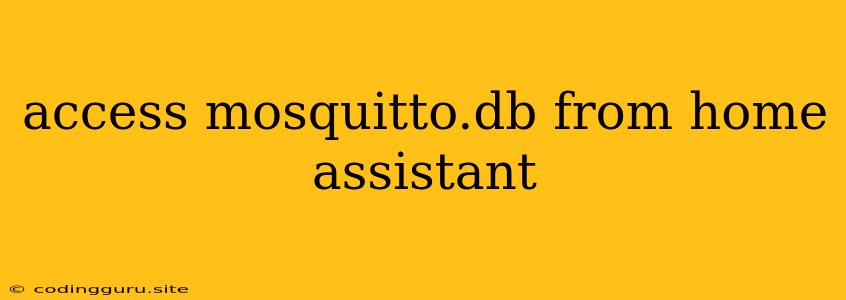 Access Mosquitto.db From Home Assistant