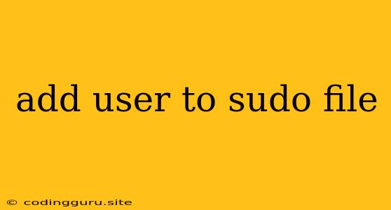 Add User To Sudo File