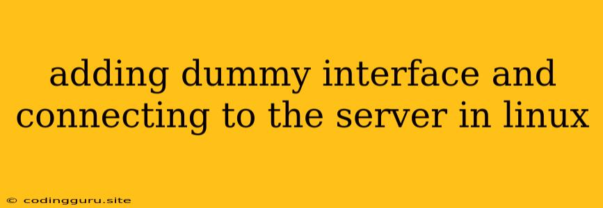 Adding Dummy Interface And Connecting To The Server In Linux