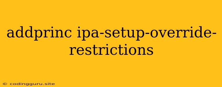 Addprinc Ipa-setup-override-restrictions