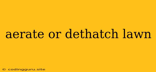 Aerate Or Dethatch Lawn