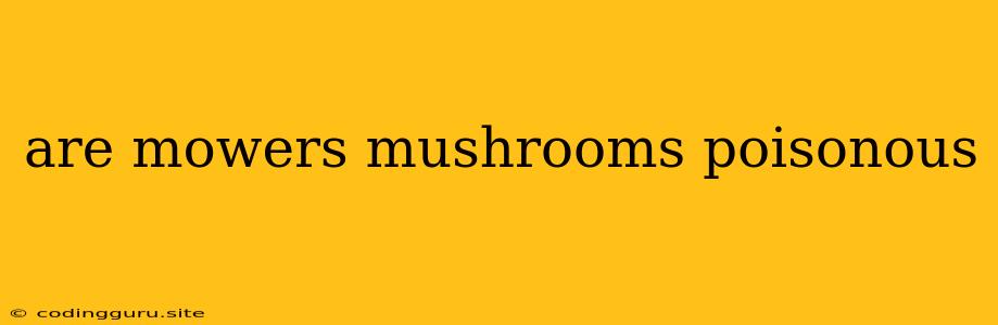 Are Mowers Mushrooms Poisonous