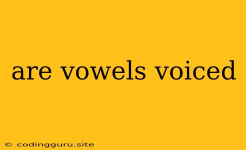 Are Vowels Voiced