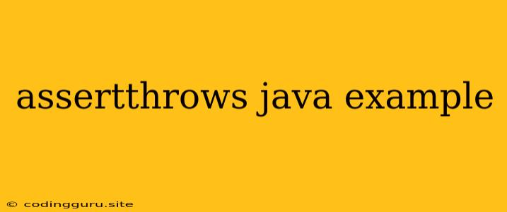 Assertthrows Java Example