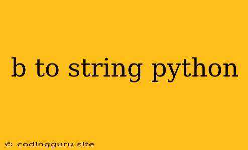 B To String Python