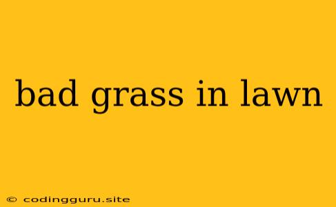 Bad Grass In Lawn