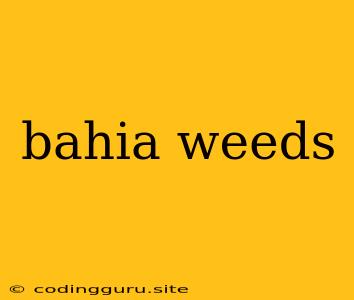 Bahia Weeds