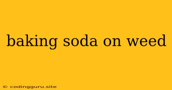 Baking Soda On Weed