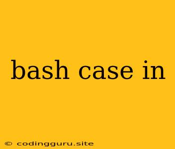 Bash Case In