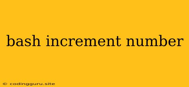 Bash Increment Number