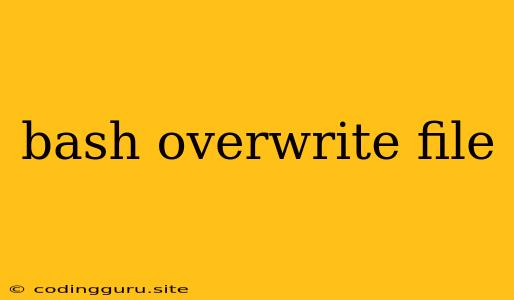 Bash Overwrite File