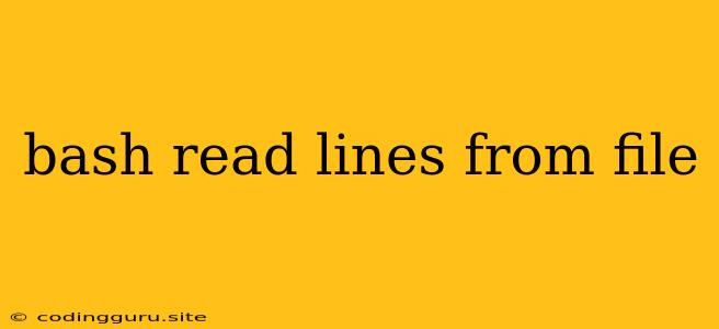 Bash Read Lines From File