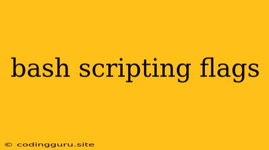 Bash Scripting Flags