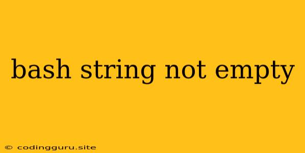 Bash String Not Empty