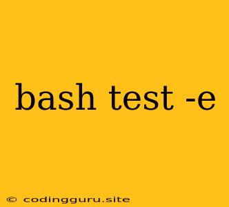 Bash Test -e