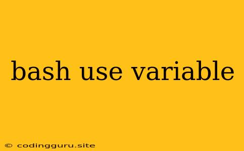 Bash Use Variable