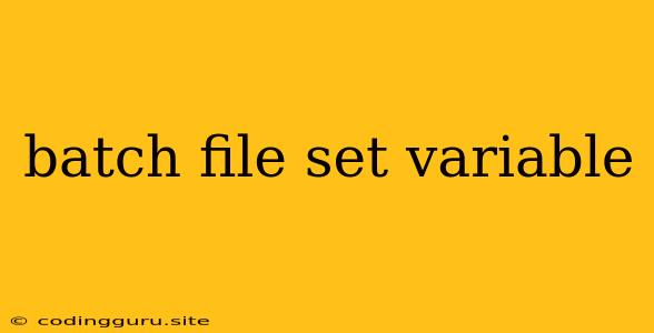 Batch File Set Variable