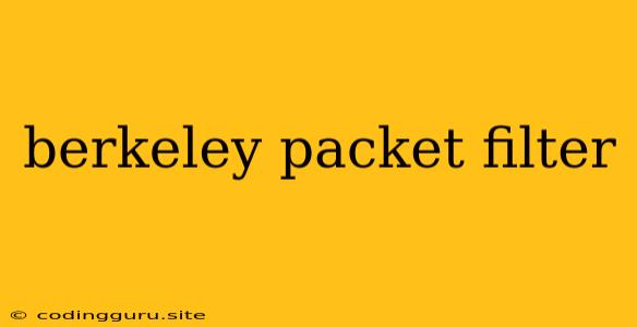 Berkeley Packet Filter