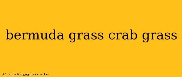 Bermuda Grass Crab Grass