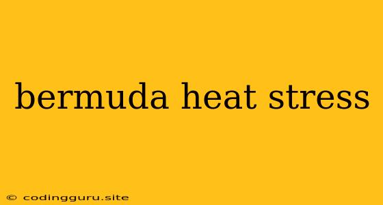 Bermuda Heat Stress