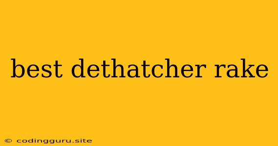 Best Dethatcher Rake