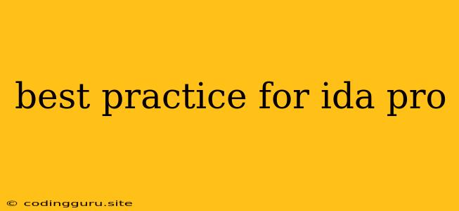 Best Practice For Ida Pro