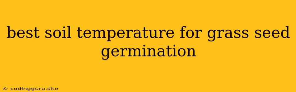 Best Soil Temperature For Grass Seed Germination