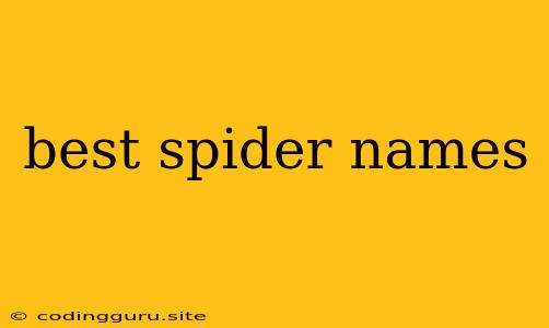 Best Spider Names