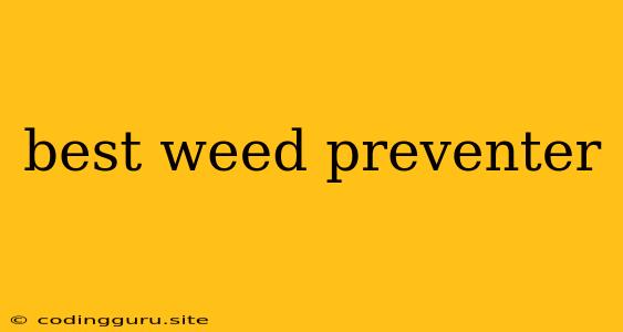 Best Weed Preventer