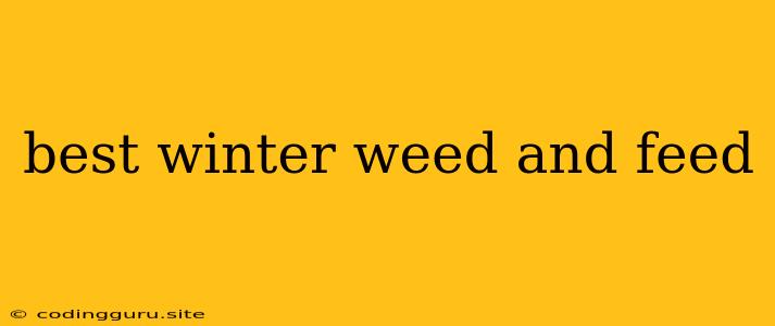 Best Winter Weed And Feed