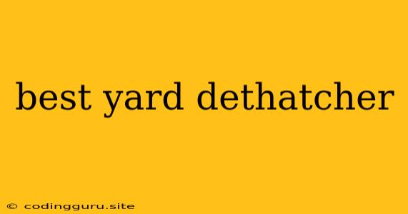 Best Yard Dethatcher