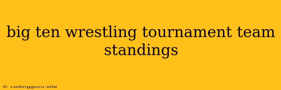 Big Ten Wrestling Tournament Team Standings