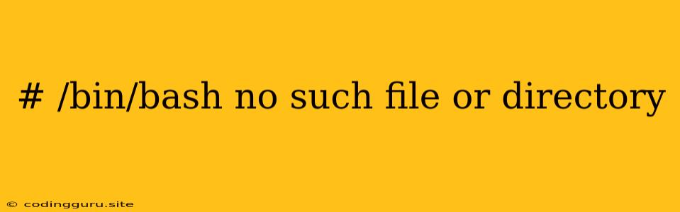 # /bin/bash No Such File Or Directory