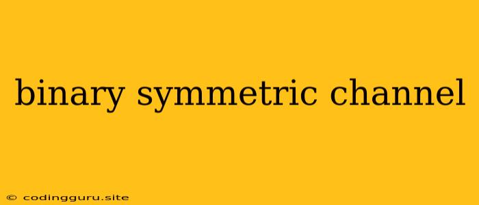 Binary Symmetric Channel