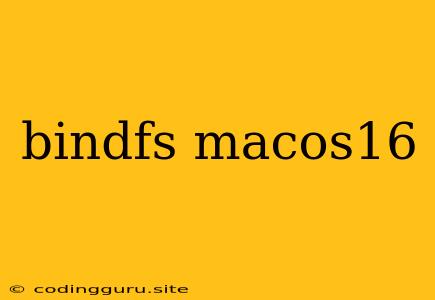 Bindfs Macos16