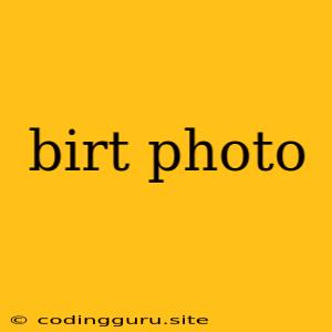 Birt Photo