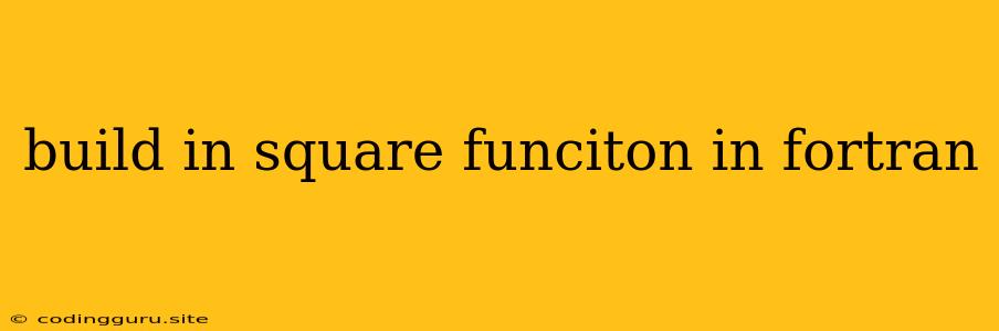 Build In Square Funciton In Fortran