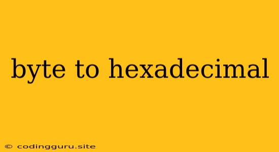 Byte To Hexadecimal