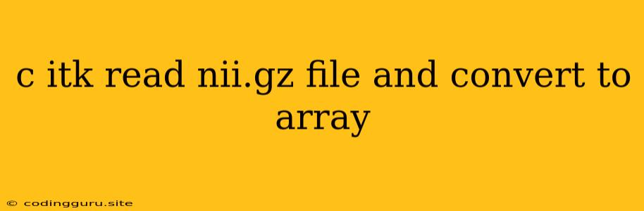 C Itk Read Nii.gz File And Convert To Array