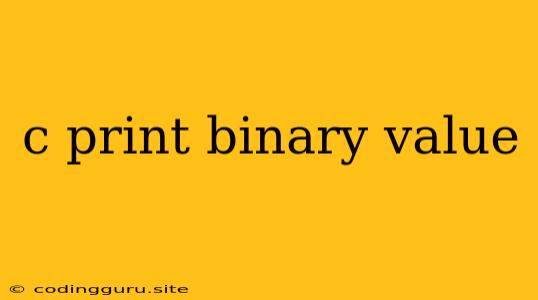 C Print Binary Value