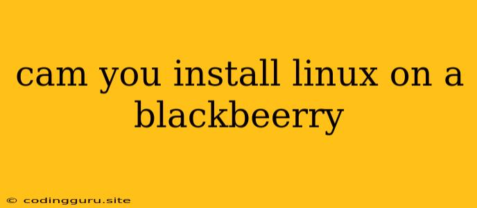 Cam You Install Linux On A Blackbeerry