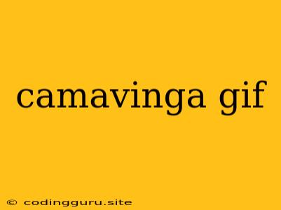 Camavinga Gif