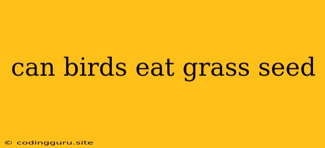 Can Birds Eat Grass Seed