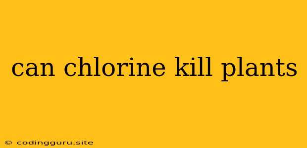 Can Chlorine Kill Plants